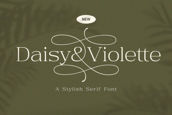 Daisy Violette - Stylish Modern Serif