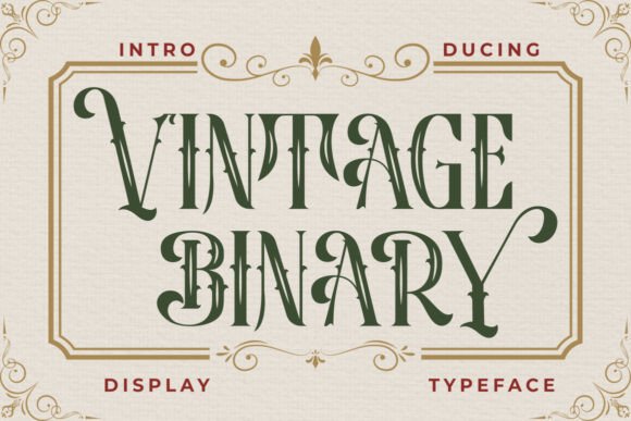 Vintage Binary Font for Web Design